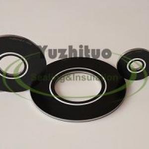 Insulating Gasket with SS Metal Core