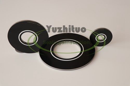 Insulating Gasket with SS Metal Core